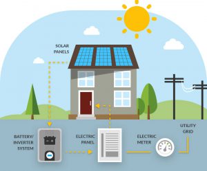 Solar Panel Subsidy in 2024 | Solar Experts